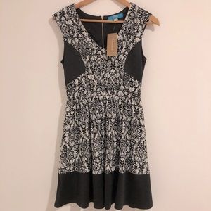NWT Francesca’s Dress